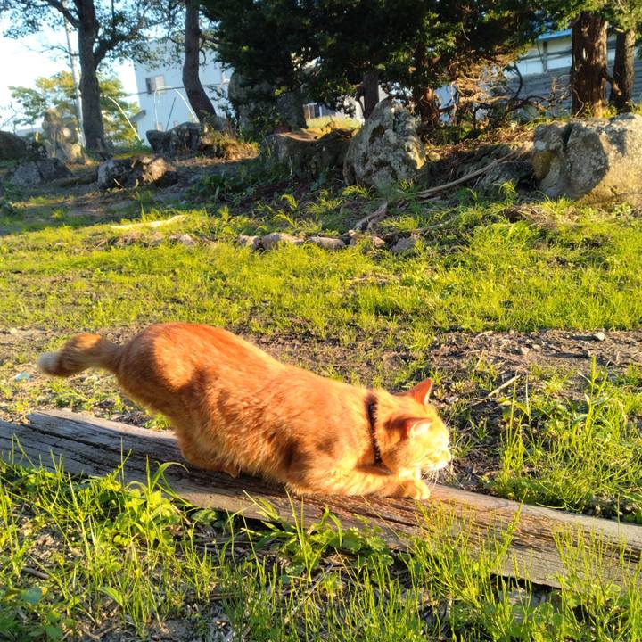 11f7e772 ed84 4020 884b ba3f7fae838d 1664610556511