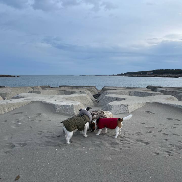 11f80f68 ee32 4417 b61e 517d14330e46 1641857895960