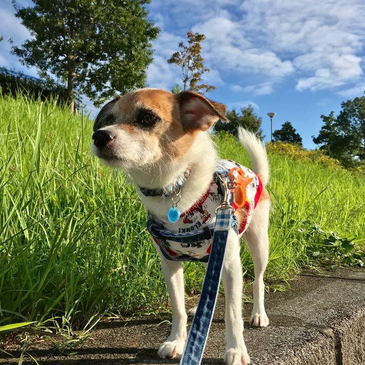 11f81469 72d8 4fe5 aa03 2670922b7da8 1568510710941