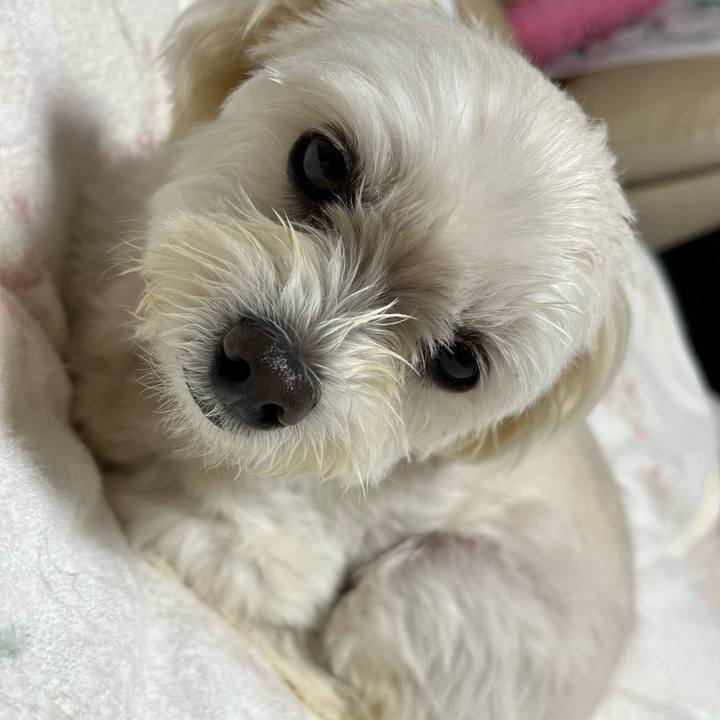 11f81e76 f5d3 4568 b228 0fd00ac56d22 1665061707164