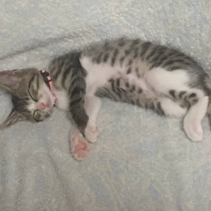 11f866c4 bb90 4bc6 9218 26bdcb75ca87 1653154726154