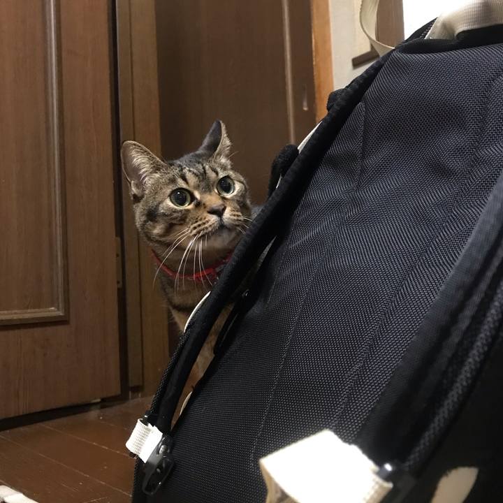 11f87c9d 998a 4e3d 83ce 42811f659b72 1646917014213