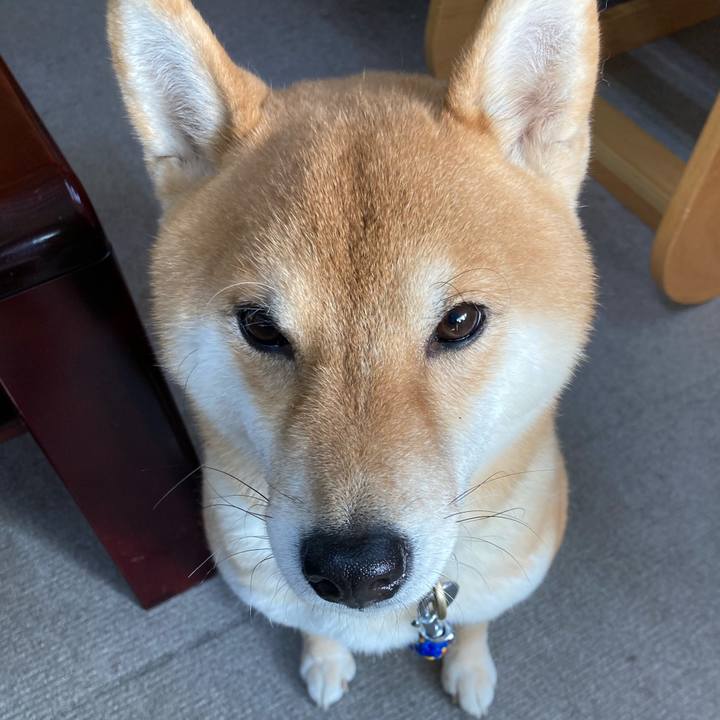 11f8adf2 d1ab 41ed 9a85 eeb06b51269b 1613132837509