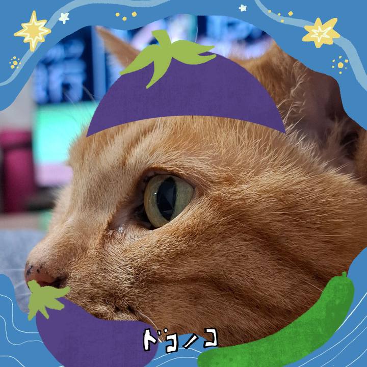 11f8b3e3 d096 4f60 a8b9 5b760f6c973e 1755186488386