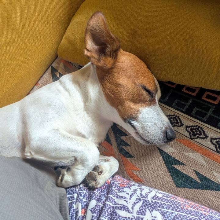 11f8b94c cf9b 4fad 9b34 d8b710249fba 1757845639951