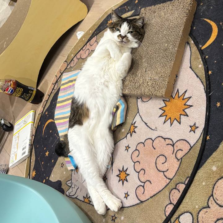 11f8f1bf 1f7d 4dd2 946a 5825f0bdda45 1776208600948