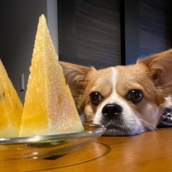 11f9002c 3439 451a 9d20 816821b00c4d 1621511160426