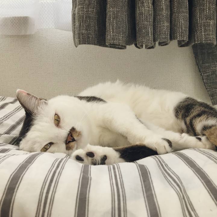 11f944e9 d083 4b46 94e4 aff46a825991 1537332033769