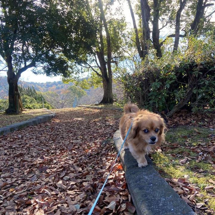 11f965aa 4bc7 4a2c aef1 0acad878e297 1607217902143