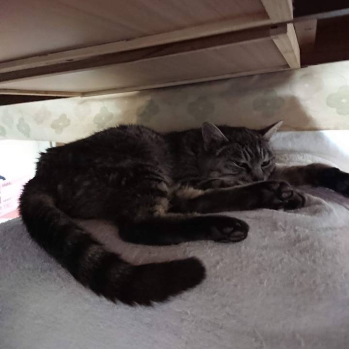 11f9a13f 5e62 44d9 b49c d5f15363a5b5 1605474901614