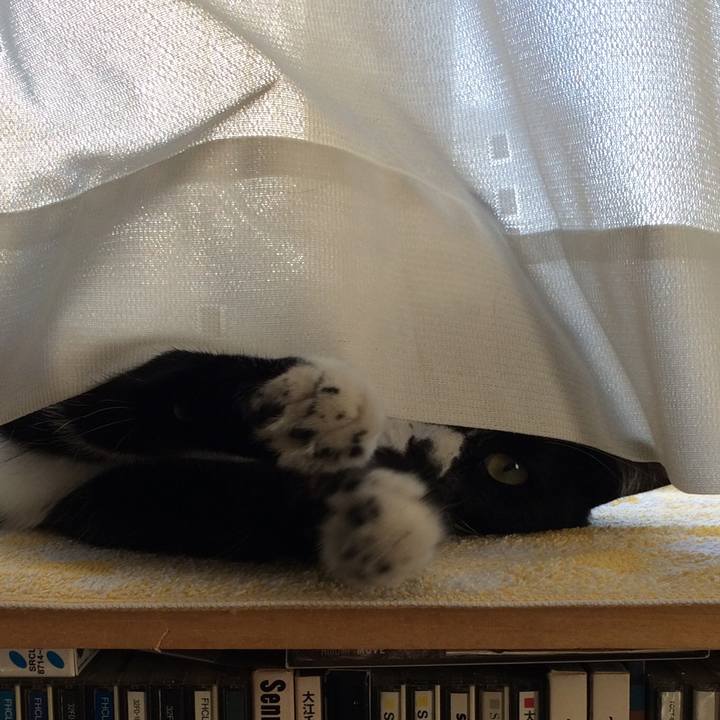 11f9c3f0 b61b 4f12 bff0 182af3770518 1512445396767