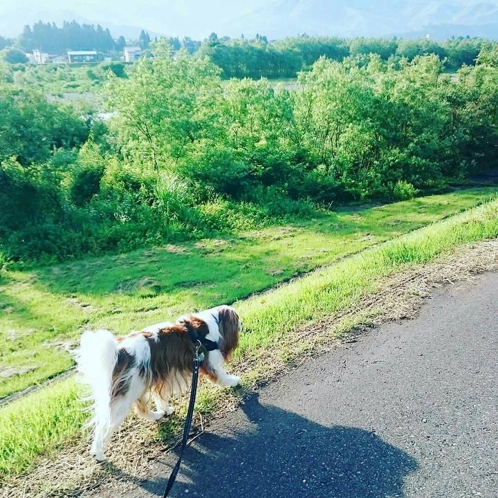 11f9c4b4 3026 42e7 a3df 6fa383287267 1530225374125