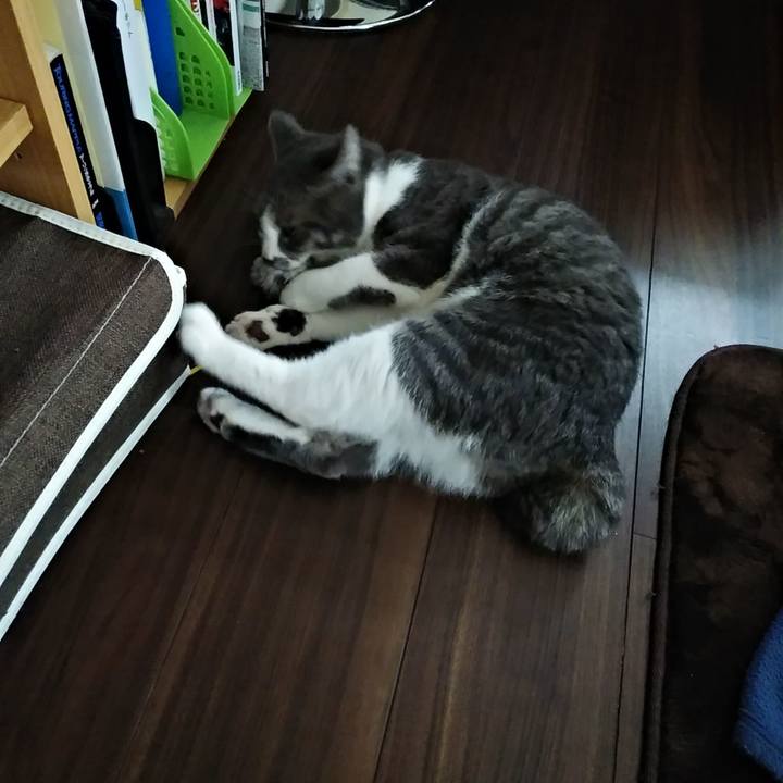 11f9c6bd cdc5 4323 9001 7ec84366d2db 1581895658511