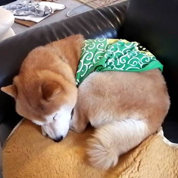 11f9d387 fcd9 4b66 bda6 4f85a645ed71 1588038835600