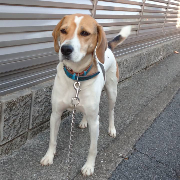 11f9ed58 f467 4155 9ca6 982c1028db46 1605938526479