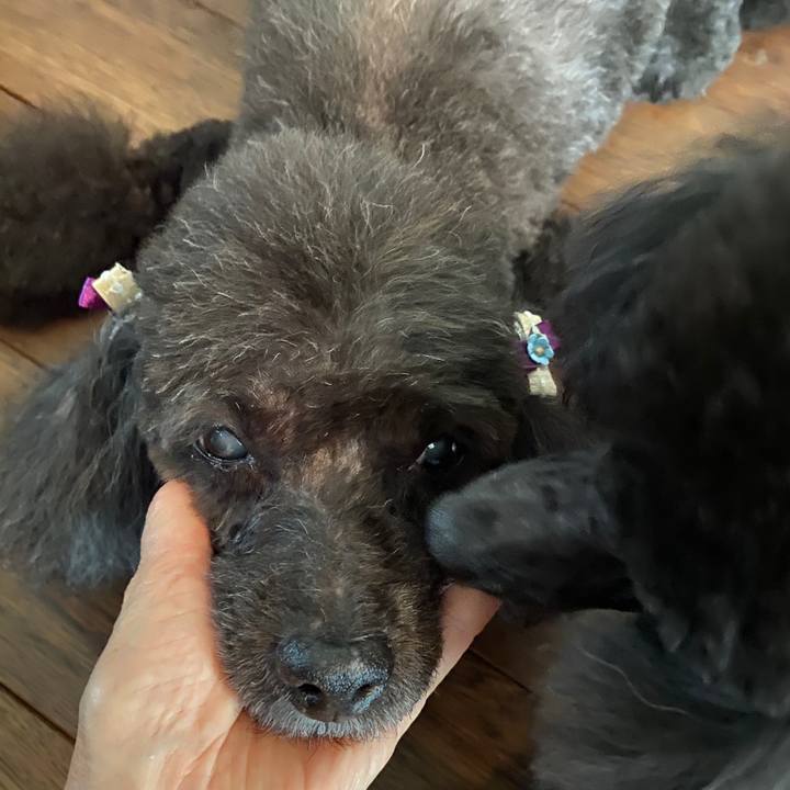 11f9fe57 57b2 4d5a 8a5b 21a00507f55f 1599023386961