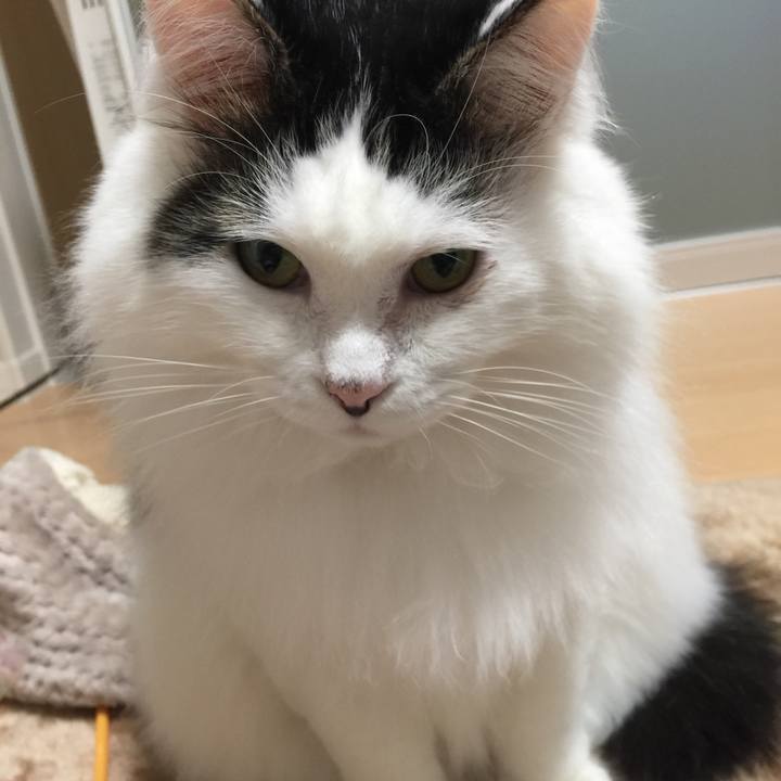 11fa102b 44c4 45e8 834d 6073f1bb7327 1513885763612