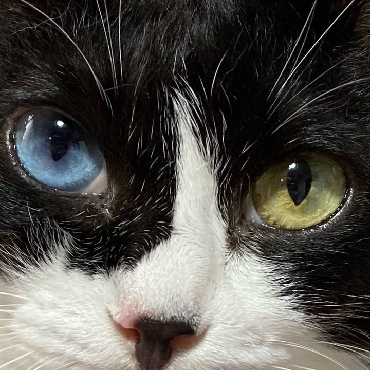 11fa83ac 1707 402f 9601 664d33f7b387 1691971782810