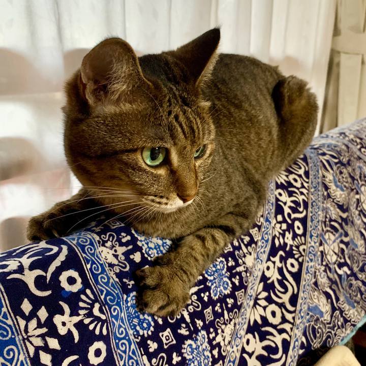 11fa9b00 c3ae 4dc2 b4a7 2f02d62b98a5 1565343849130