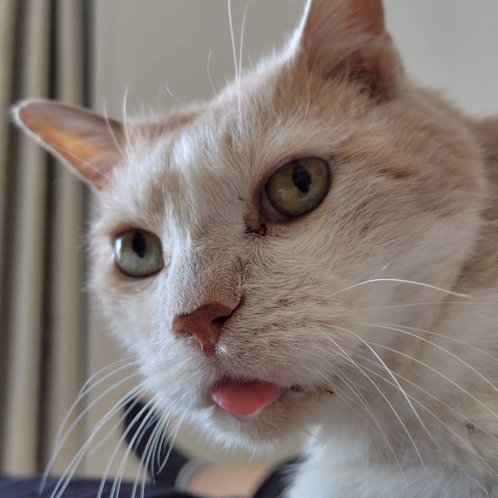 11fac01b 85b7 4a2e 8f4d 958296cdc0df 1754058964578