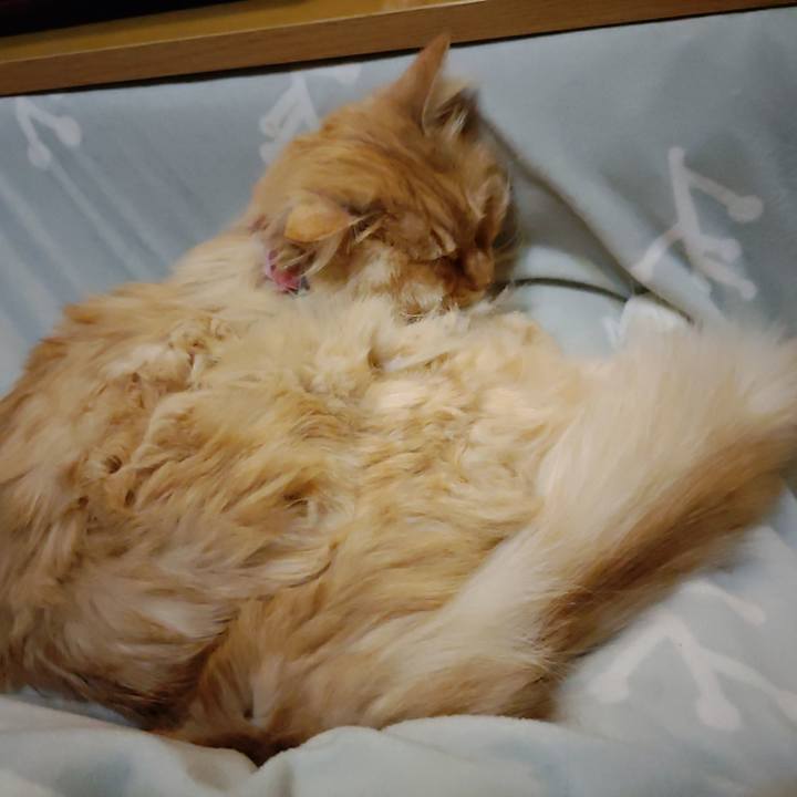 11fac146 f2e2 4232 bd18 07a263e8a57e 1678108507931