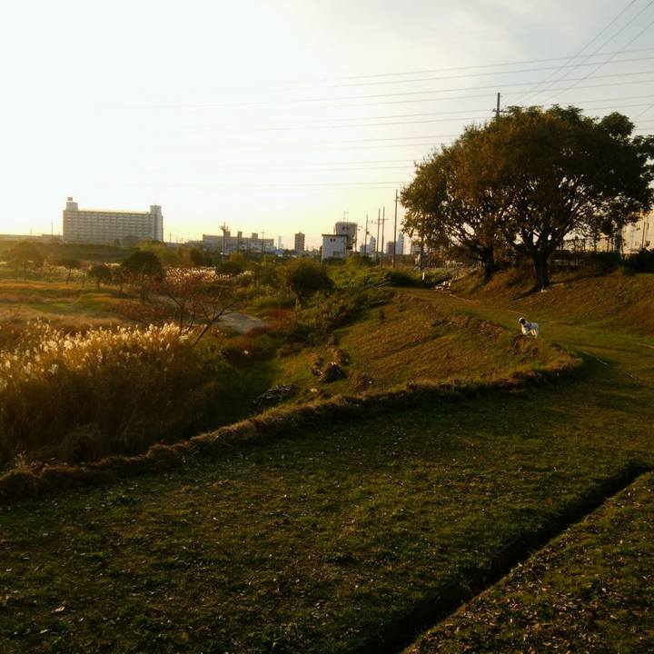 11faf0cf b02d 4408 8667 981bd50e1329 1543134041275