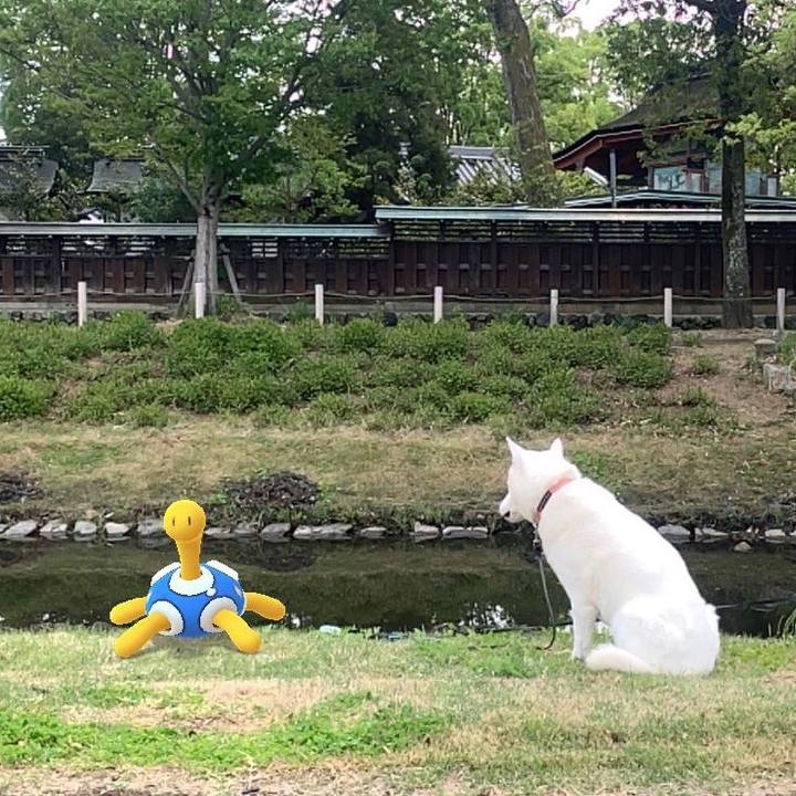 11fb02ca 77f3 4bb6 8376 f1c81cb68156 1556424857157