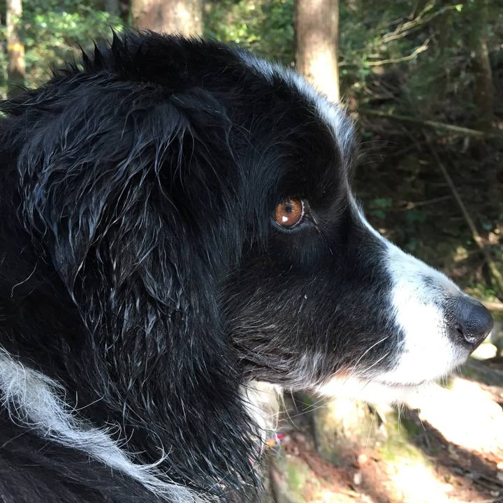 11fb1e57 57fe 449b a6af 97a7cad7e021 1555920380706