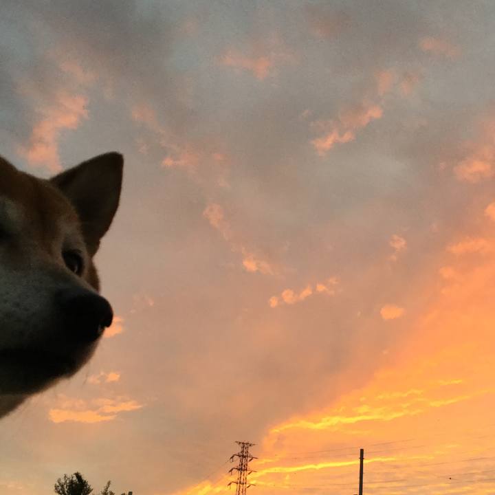 11fb3736 ccc9 4c31 8934 1dda0592cfc2 1603009768610