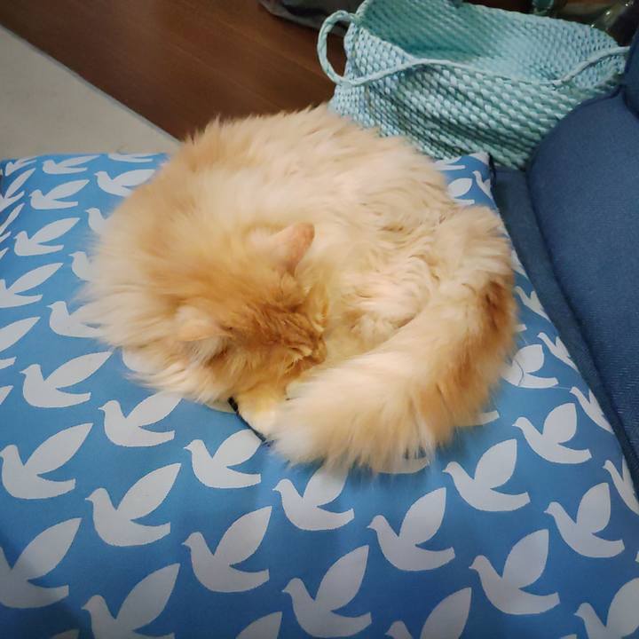 11fb3ca8 9634 4737 8170 b139787ef859 1710678346954