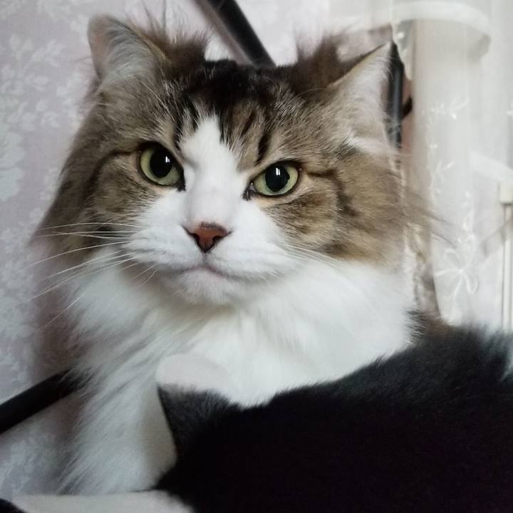 11fb5dc4 2ef6 46a5 804c e44973e4fd59 1555622196900