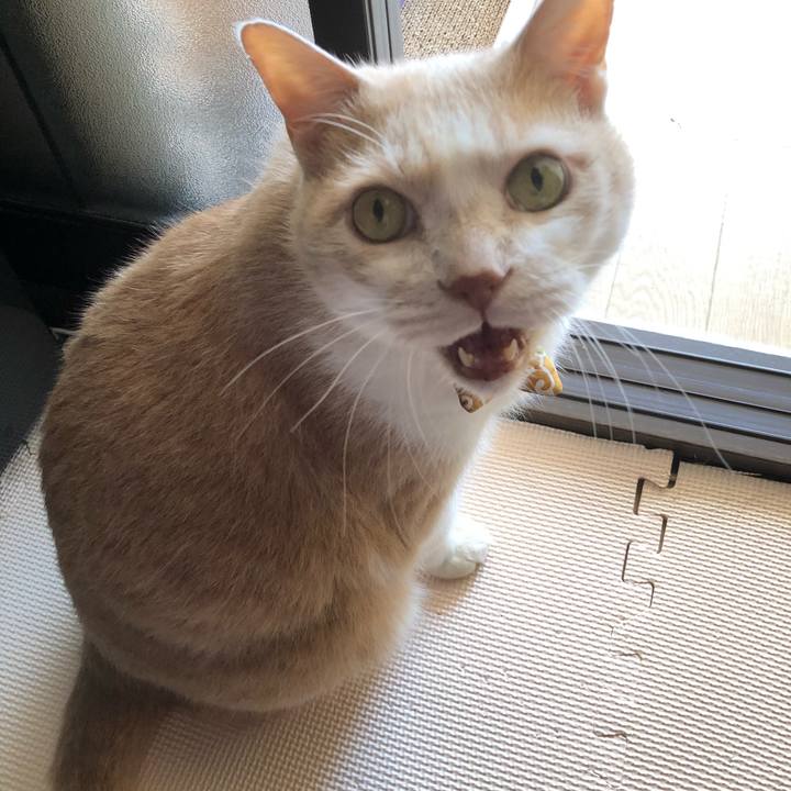 11fbc6a8 2637 4c3b bb0b dd8b686b8b05 1603672260175