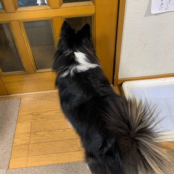 11fbe4cb 4072 43cb a296 bd7ecac91d38 1582754762101