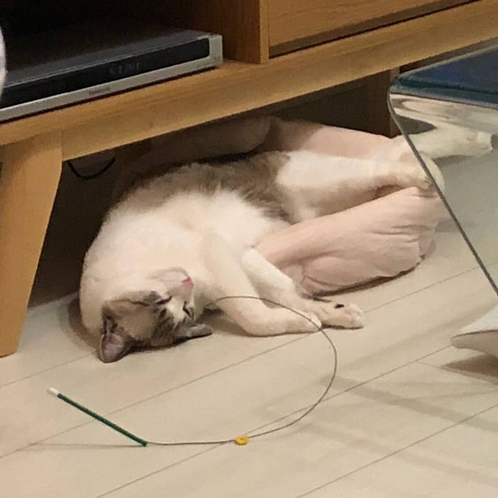 11fbe975 f59c 4f0a 9a90 028659db0418 1541847884105