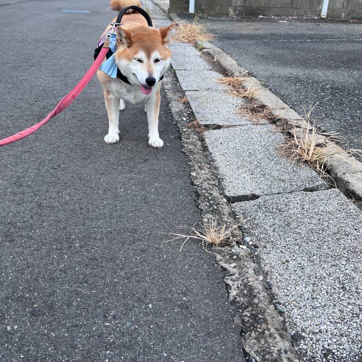 11fc061e eb4b 42f3 92c7 643ee53266c9 1721946235613