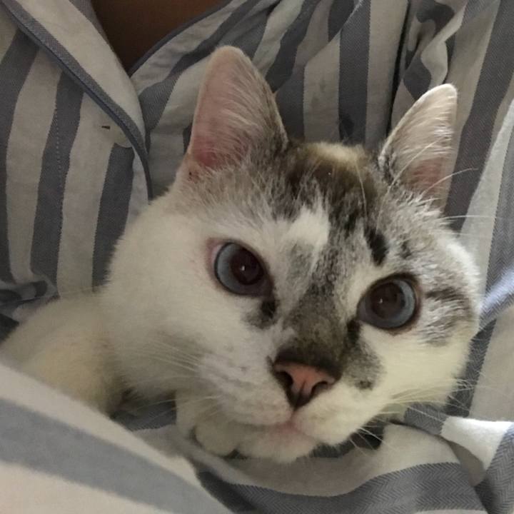 11fc566b 816e 4544 b0e1 9b80522f837d 1523105159068