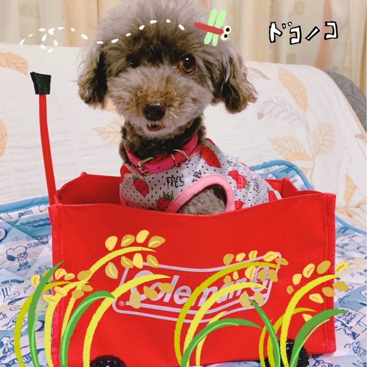 11fc6518 eba6 47bc b447 4bd99d1db4df 1761291246716