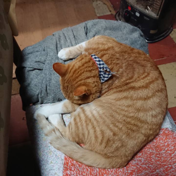 11fc665d 7fbf 4b3f 8913 3c6fb3f9d0e1 1575496359814