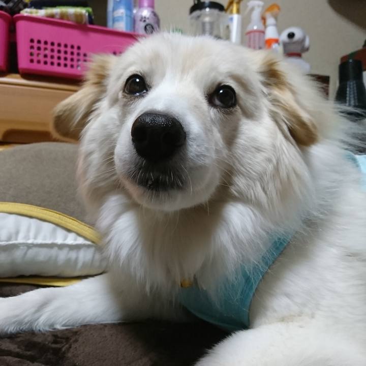 11fc6970 de15 437f ac0b 71e054432fca 1521583528232