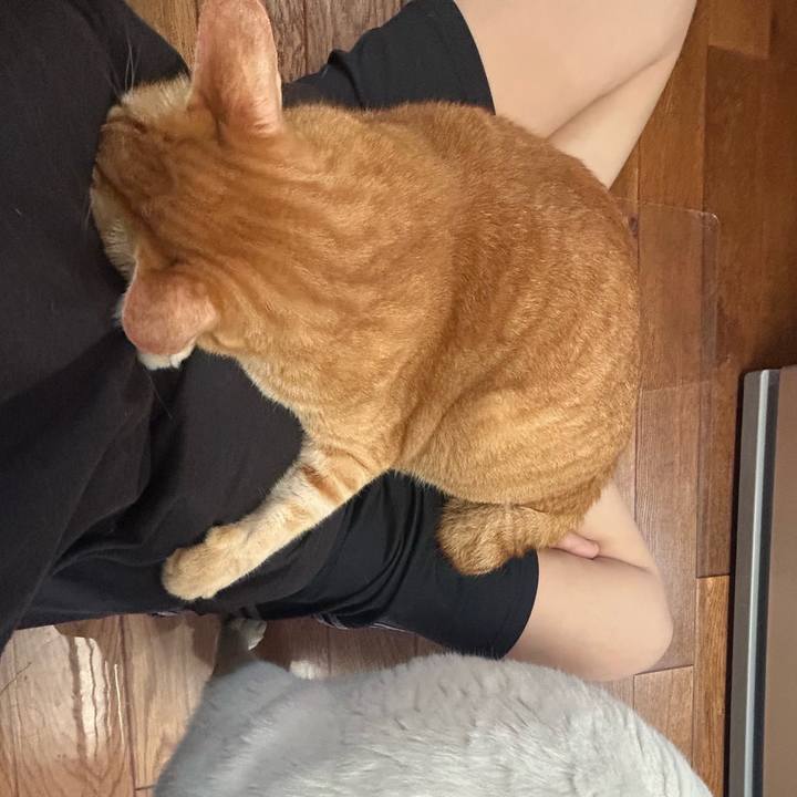 11fc7b18 e59a 4228 92c6 ce00b4a47d32 1688510038934