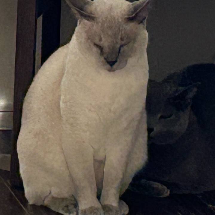 11fc9b90 bdb5 4d0f 8dd5 cab7e368046f 1737969170130