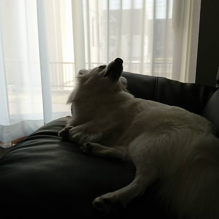 11fccdb2 e625 4b7c 9717 fc0d57e26e07 1522217100848