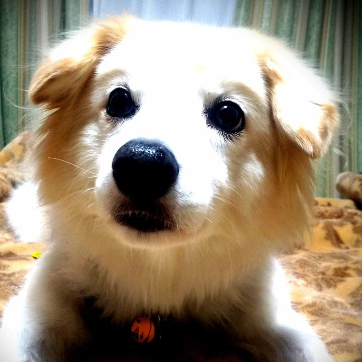 11fd1657 829f 4c1e 84d4 85336379d37e 1636687655808