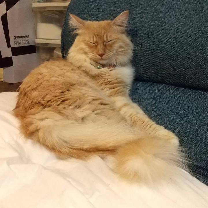 11fd28d9 6146 4564 83b4 006c62100cad 1645267138706