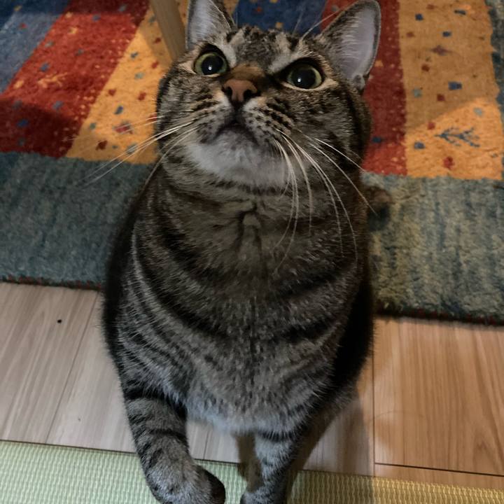 11fd32cf 8d2f 4772 b882 2c177d8642ef 1605708059086