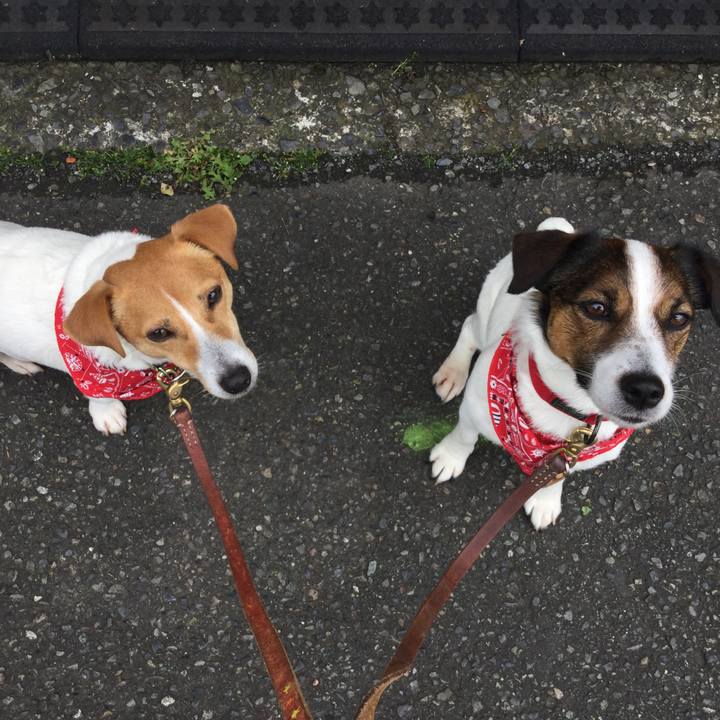 11fd3966 c22c 4863 b584 177aee99a10d 1556689966283