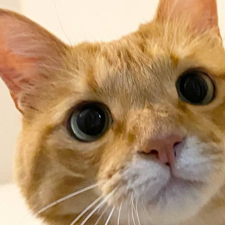 11fd4bed ac7b 4f4e bcb3 42877466e931 1630472391794