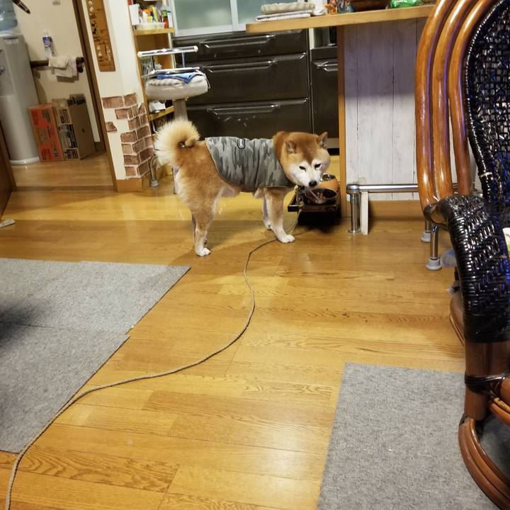 11fd5ff4 3be9 45e6 be70 753a0cc2bccf 1650100918311