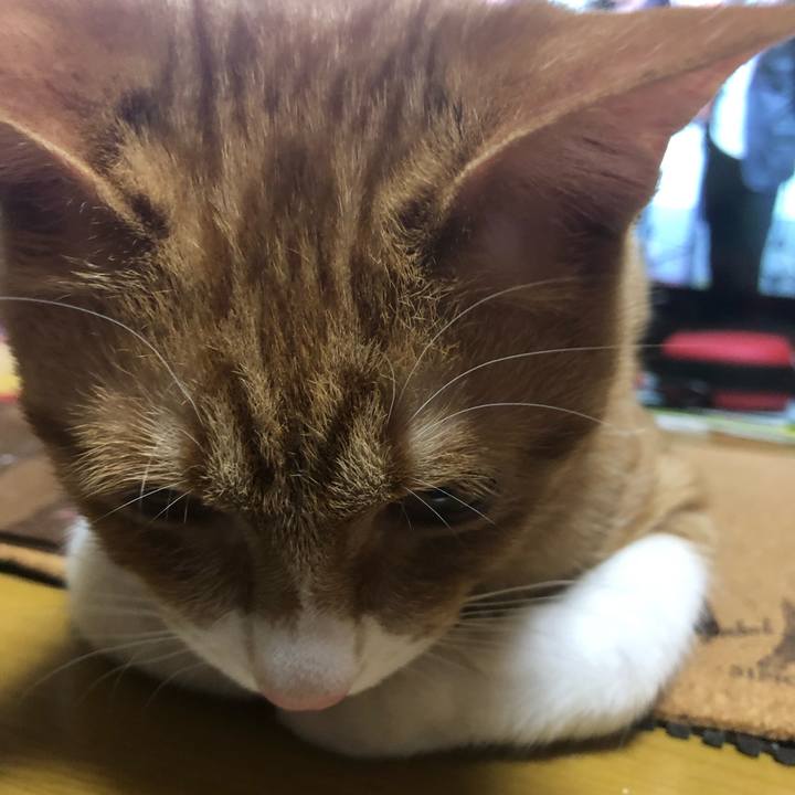 11fd65f1 7338 456c bb4f 470e4d35d552 1551184737551