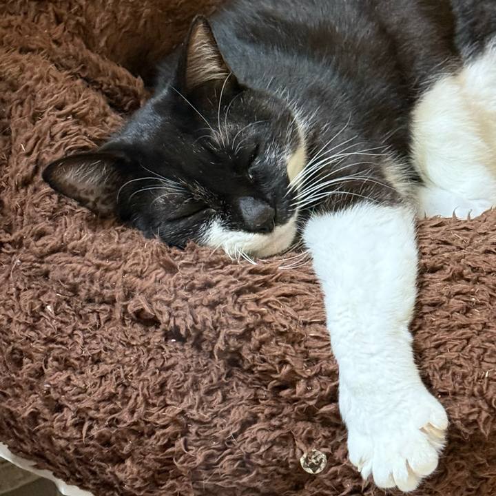 11fd6d89 1ccf 449c be63 da6a067bdc76 1764177566210